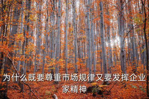 為什么既要尊重市場規(guī)律又要發(fā)揮企業(yè)家精神
