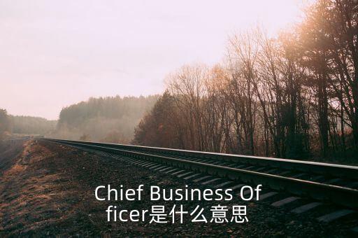 Chief Business Officer是什么意思
