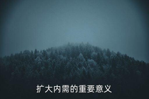 擴(kuò)大內(nèi)需的重要意義