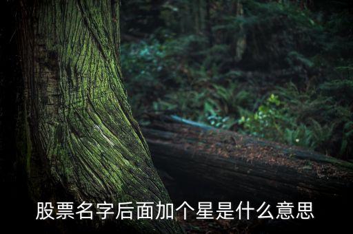 股票名字后面加個星是什么意思