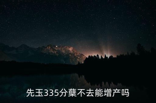 先玉335產(chǎn)量為什么低，先玉335分蘗不去能增產(chǎn)嗎