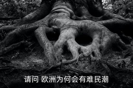 歐洲難民潮是什么原因，請問 歐洲為何會有難民潮