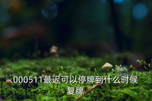 000511最遲可以停牌到什么時(shí)候復(fù)牌