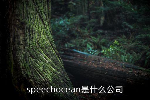 匹凸匹什么公司，AOL是什么公司