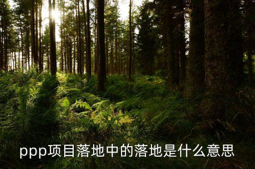 項目落地是什么意思，重大項目落地什么意思