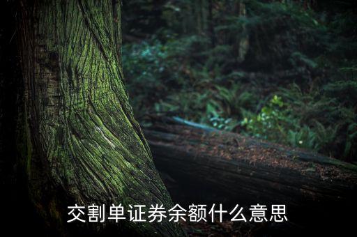 交割單中的剩余金額是什么，中原證券交割單里的本次金額什么意思