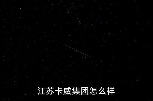 江蘇卡威集團(tuán)是什么性質(zhì)的企業(yè)，我剛大學(xué)畢業(yè)學(xué)的是汽車制造與裝配請問一下江蘇卡威公司怎么