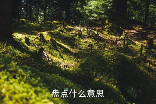 股盤盤點(diǎn)是什么意思，盤點(diǎn)什么意思