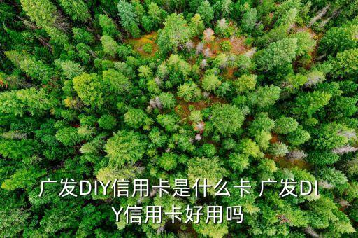 什么是diy信用卡，廣發(fā)DIY信用卡是什么卡 廣發(fā)DIY信用卡好用嗎