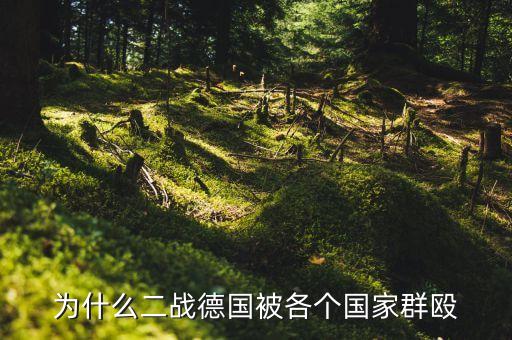 為什么二戰(zhàn)德國被各個(gè)國家群毆
