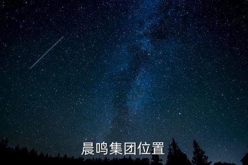壽光造紙廢固是什么，晨鳴集團(tuán)位置
