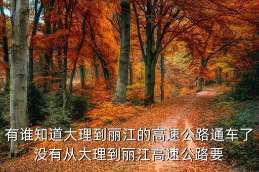 大麗高速公路什么時候通車，大麗線S221公路哪年通車哪月哪