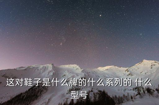 這對(duì)鞋子是什么牌的什么系列的 什么型號(hào)