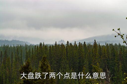 大盤跌了兩個點是什么意思