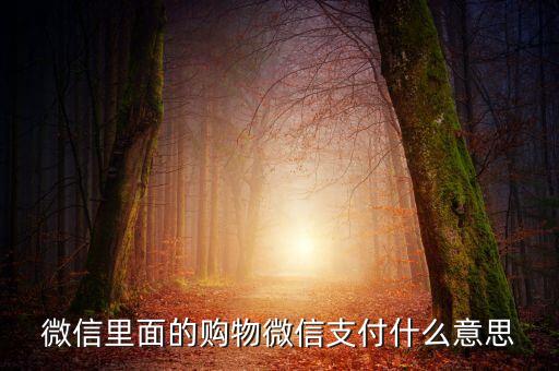 微信支付是什么意思，微信支付是什么意思