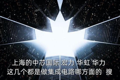 上海的中芯國際 宏力 華虹 華力 這幾個都是做集成電路哪方面的  搜