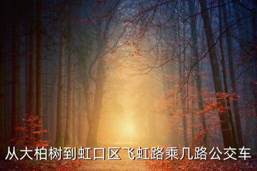 飛虹路430號可以乘什么公交車，上海人民廣場到飛虹路乘坐哪幾路公交車