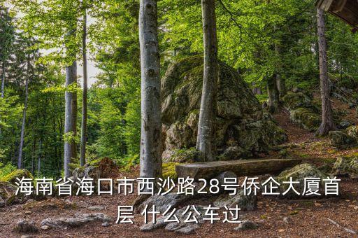 海南公務(wù)車什么號段，誰知道海南41 11月20日開的什么號碼