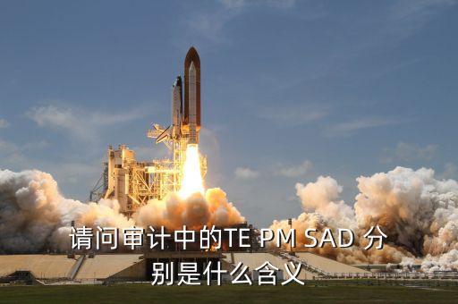 請(qǐng)問(wèn)審計(jì)中的TE PM SAD 分別是什么含義