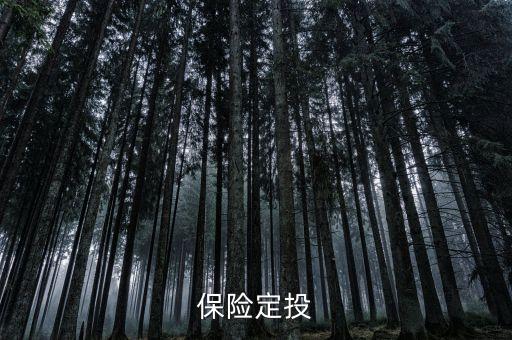 什么是定投保險(xiǎn)，定期定投是什么怎么做有風(fēng)險(xiǎn)嗎