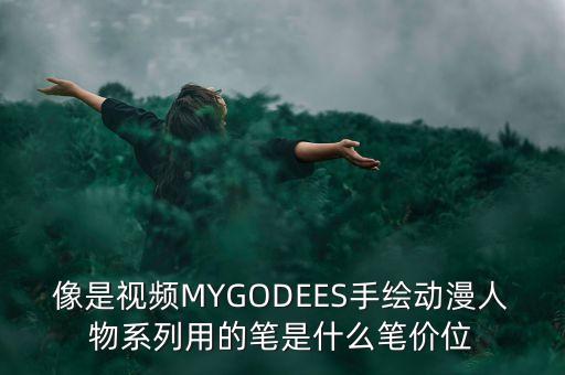 達(dá)沃斯用的什么筆，19世紀(jì)歐洲人用什么筆