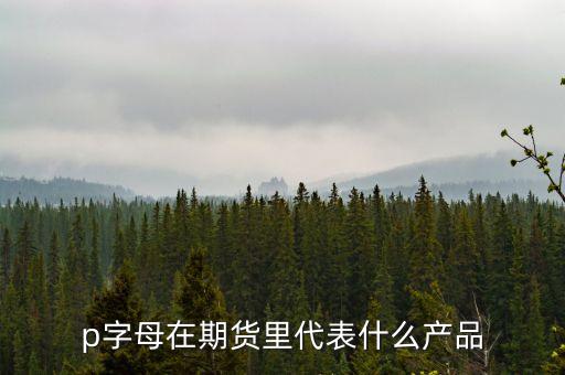 pp是什么期貨，聚丙烯期貨是什么