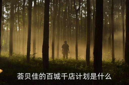 百城千店是干什么的，百城千店介貸是什么