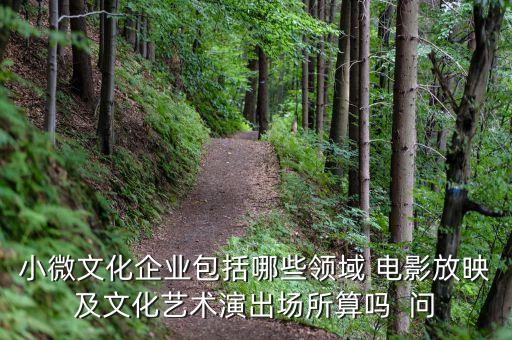 小微文化企業(yè)具體指什么，小微文化企業(yè)包括哪些領(lǐng)域 電影放映及文化藝術(shù)演出場(chǎng)所算嗎  問