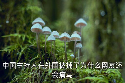 國網魏慶海出什么事了，中國主持人在外國被捕了為什么網友還會痛罵