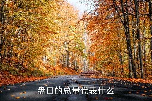 盤口的總量代表什么