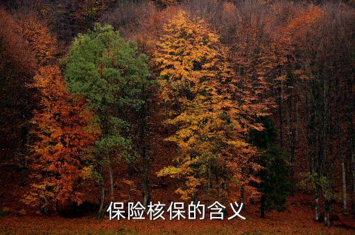保險核保是什么意思，保險核保的含義