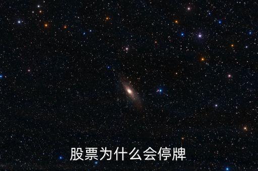 002163為什么停牌，股票為什么會(huì)停牌