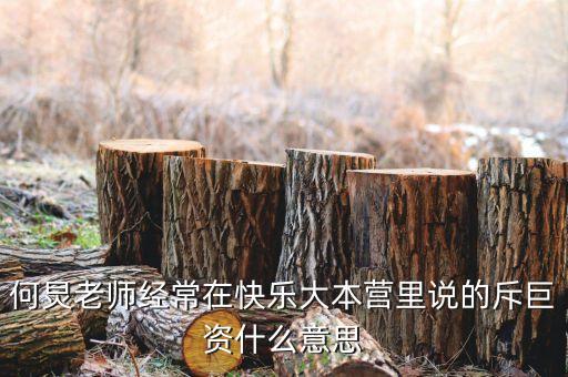 赤巨資是什么意思，赤巨資是什么意思能解釋一下嗎