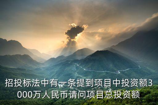 招投標(biāo)法中有一條提到項(xiàng)目中投資額3000萬人民幣請問項(xiàng)目總投資額