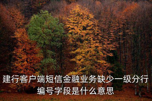 建行客戶端短信金融業(yè)務(wù)缺少一級(jí)分行編號(hào)字段是什么意思