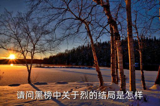 請問黑榜中關(guān)于烈的結(jié)局是怎樣