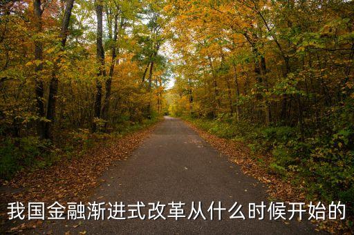 我國金融漸進式改革從什么時候開始的