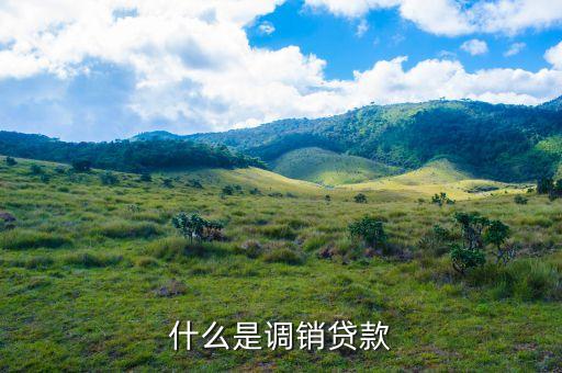 什么是銷售貸款，什么是調(diào)銷貸款