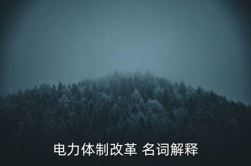 電力體制改革 名詞解釋
