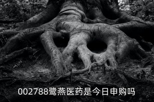 002788鷺燕醫(yī)藥是今日申購(gòu)嗎