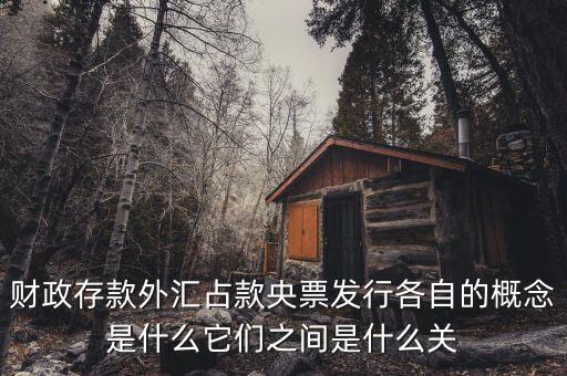 財(cái)政存款外匯占款央票發(fā)行各自的概念是什么它們之間是什么關(guān)