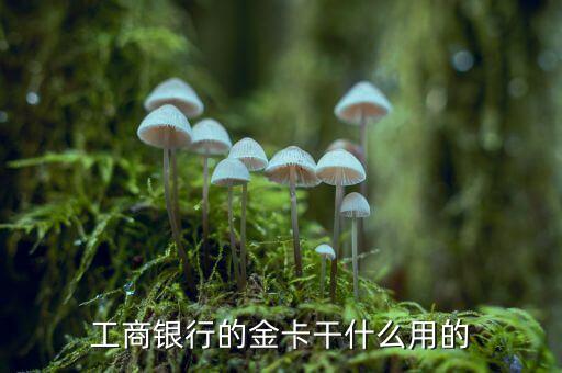 工商銀行金卡有什么用，工行的金卡有什么用