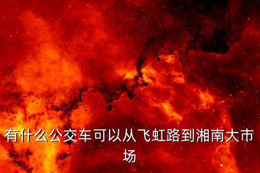 有什么公交車可以從飛虹路到湘南大市場(chǎng)