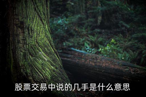 股票幾手是什么意思，股票的幾手是什么意思