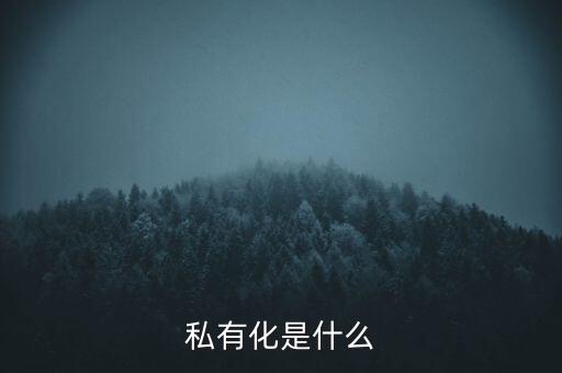 什么叫股票私有化，私有化是什么