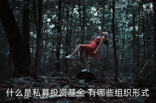 什么是募投資金，什么是私募投資基金 有哪些組織形式