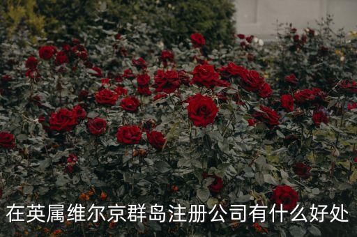 在英屬維爾京群島注冊(cè)公司有什么好處