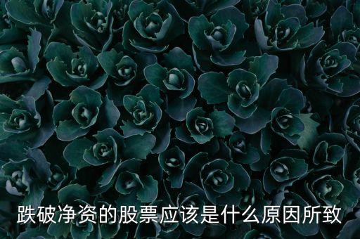 跌破凈資的股票應該是什么原因所致