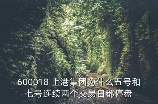 600018 上港集團(tuán)為什么五號和七號連續(xù)兩個交易日都停盤