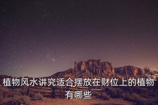 16年擺什么花利于財(cái)，客廳擺放什么花最吉利